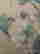item-131331208=7