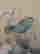 item-131331208=9
