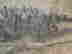 item-131331210=3