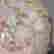 item-131331211=5