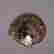 item-131331211=7