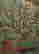 item-136511312=13