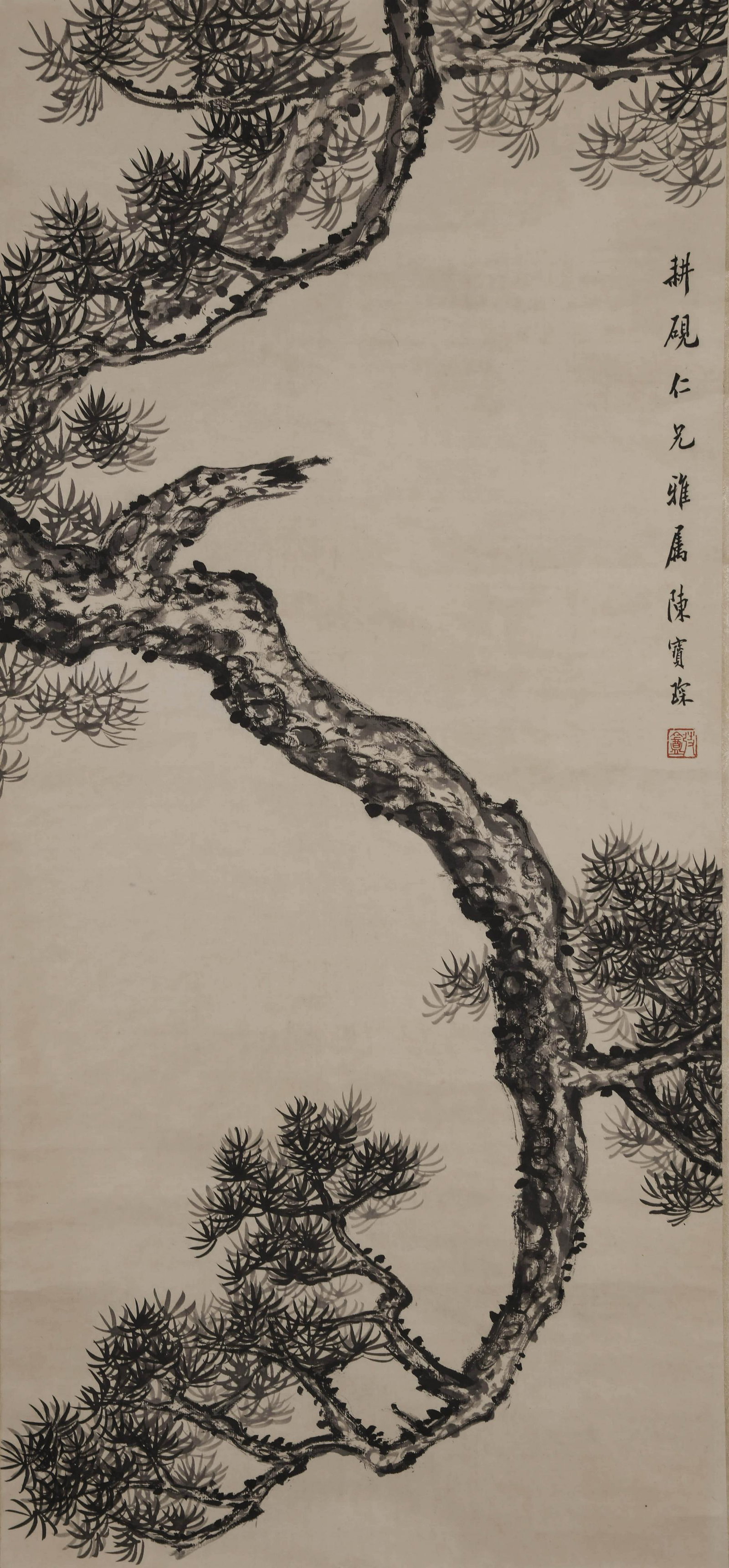 A CHINESE PINE PAINTING, INK AND COLOR ON PAPER, HANGING SCROLL, CHEN BAOCHEN MARK: A CHINESE PINE PAINTING, INK AND COLOR ON PAPER, HANGING SCROLL, CHEN BAOCHEN MARK Length: 31 7/8 in. (81cm), Width: 14 9/16 in. (37cm), Provenance: Property from a private English collection, acquire