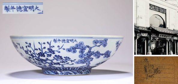 A BLUE AND WHITE PLANTS BOWL