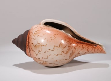 A CONCH