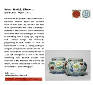 A PAIR OF DOUCAI 'LOTUS' COVERED JARS