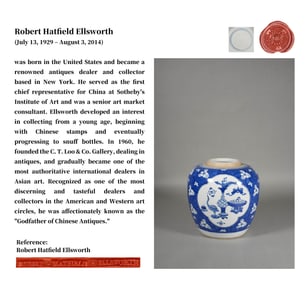 A BLUE AND WHITE MEDALLION 'PLUM AND AUSPICIOUS BEASTS' JAR