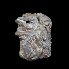 A METEORITE SPECIMEN