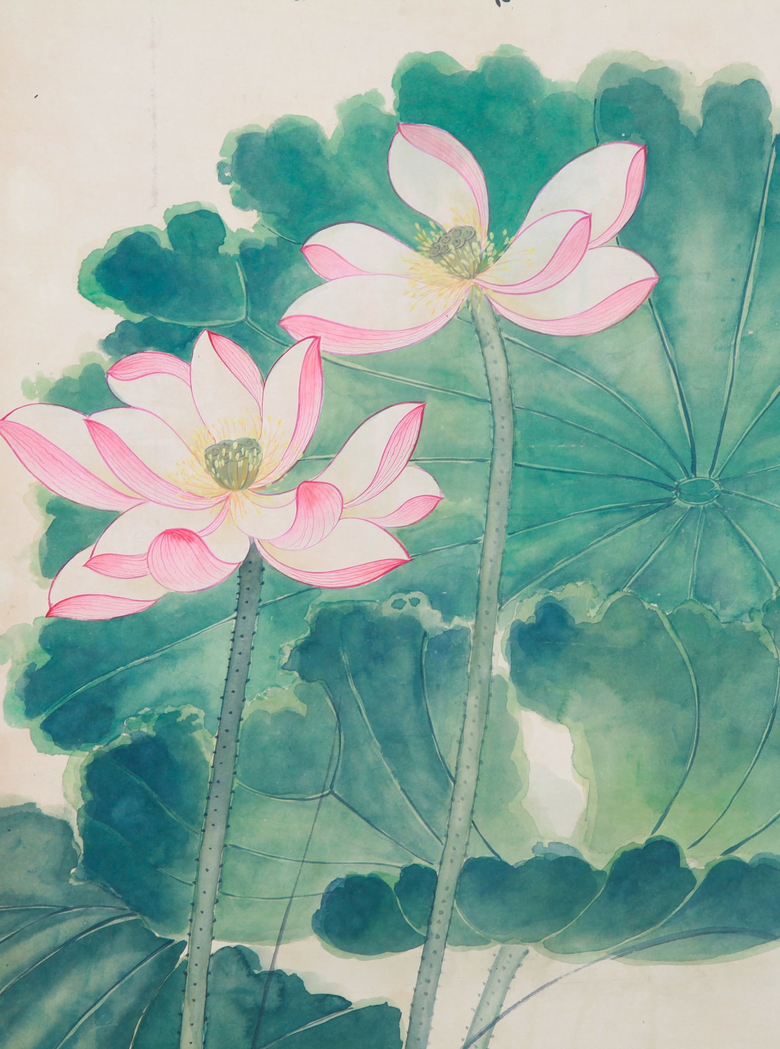 ANONYMOUS, LOTUS - 5
