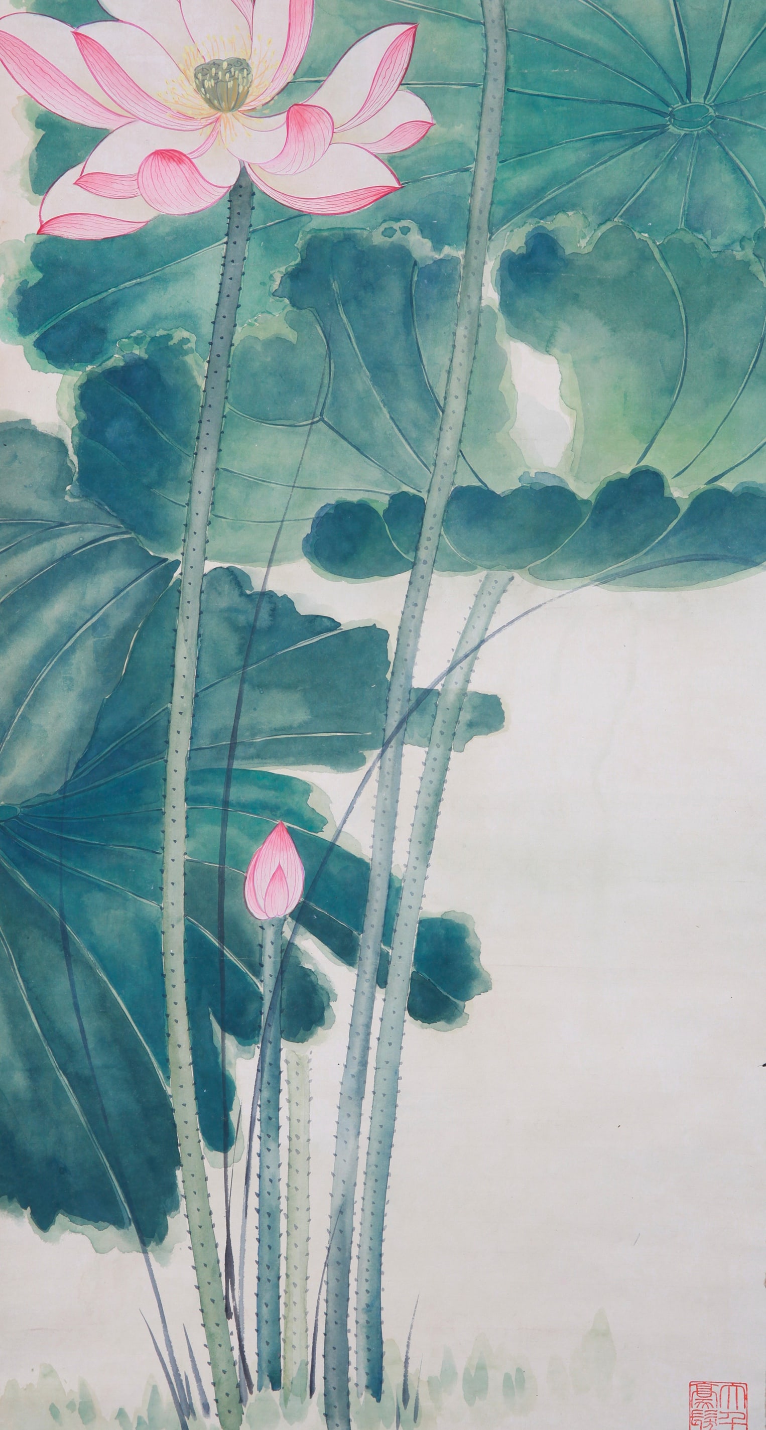 ANONYMOUS, LOTUS - 8