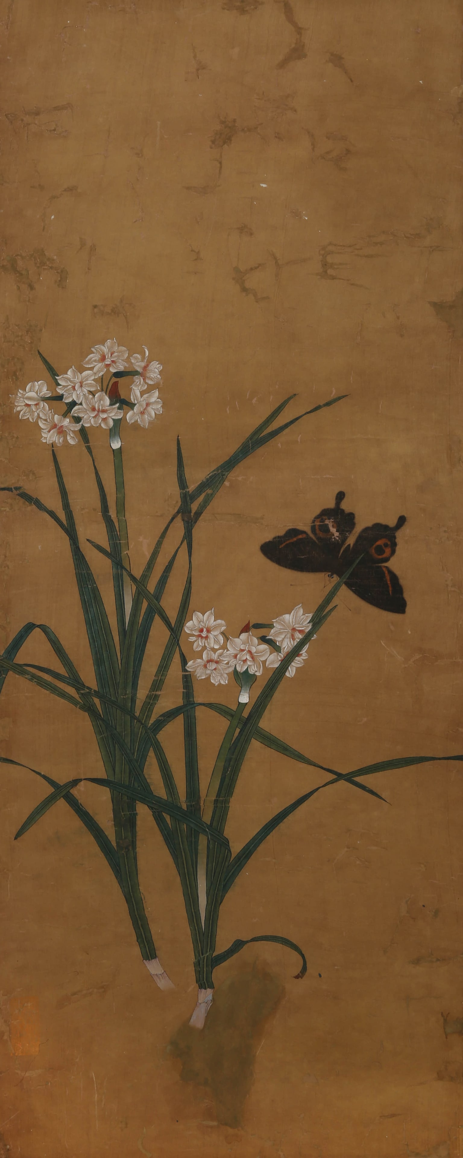 ANONYMOUS, FLOWERS (1 of 9)