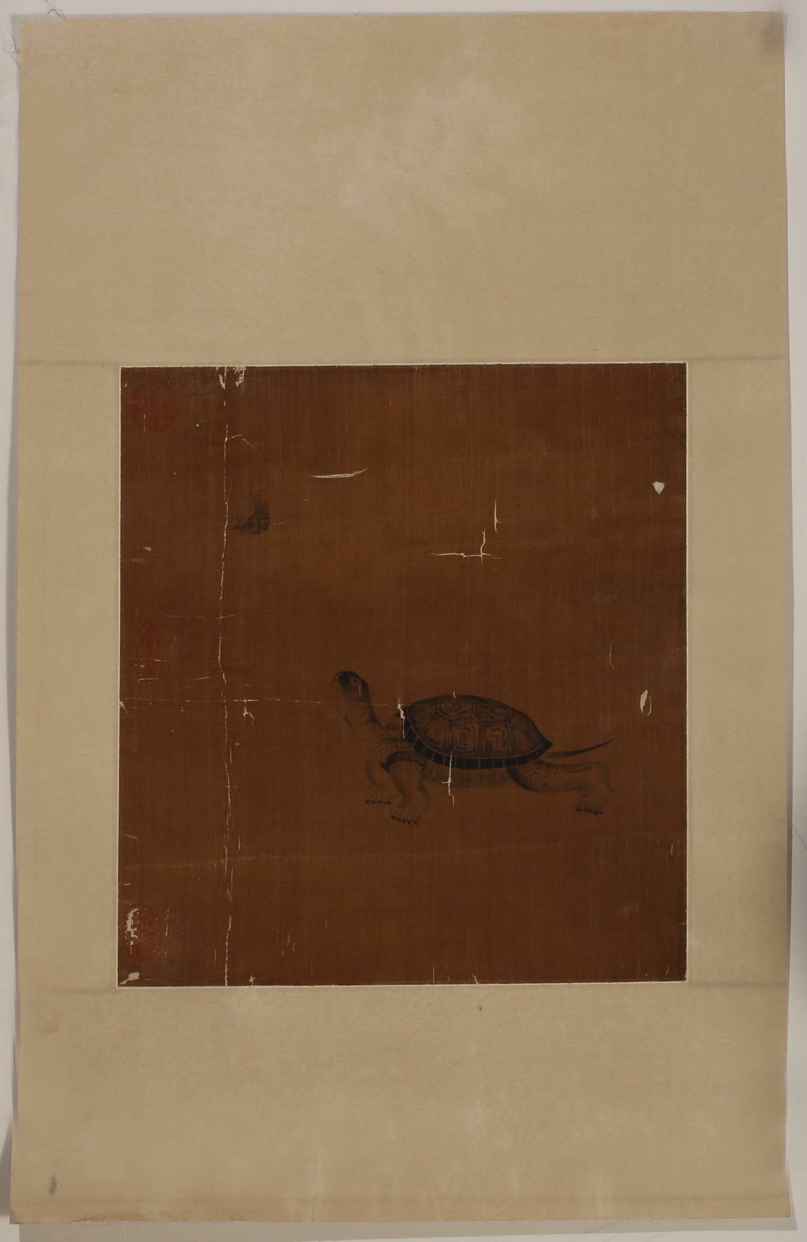 ANONYMOUS, TURTLE - 10