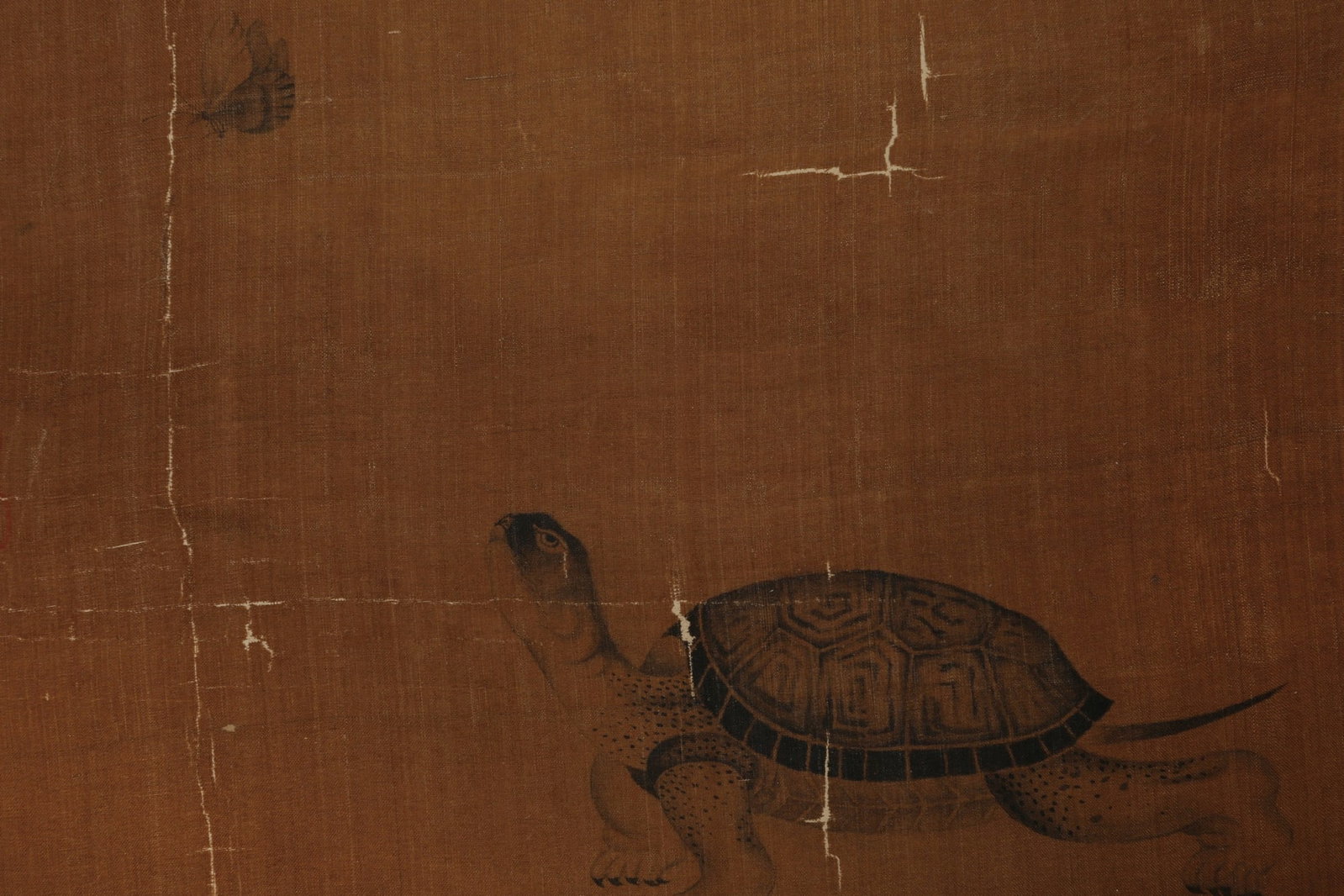 ANONYMOUS, TURTLE - 2