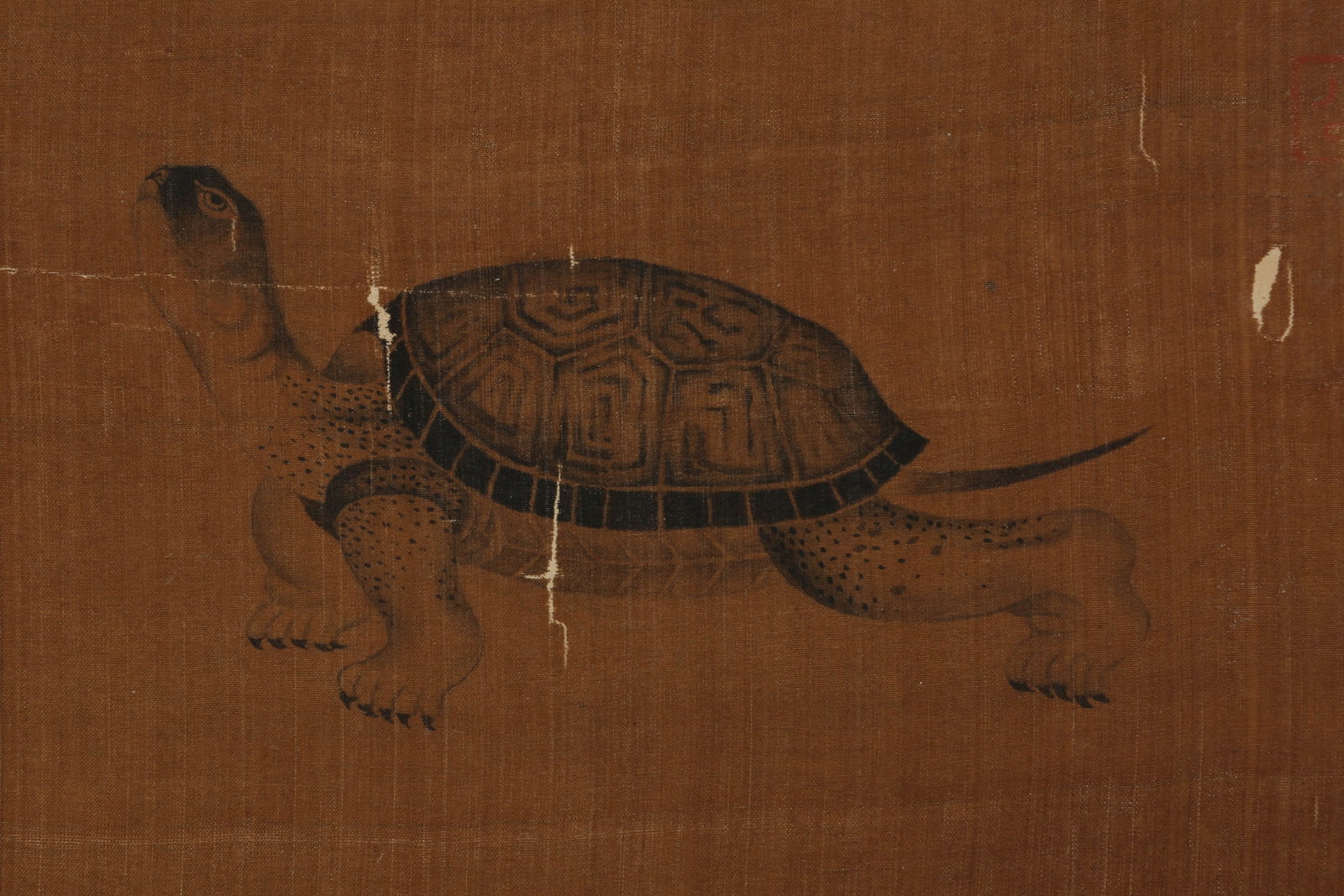 ANONYMOUS, TURTLE - 3