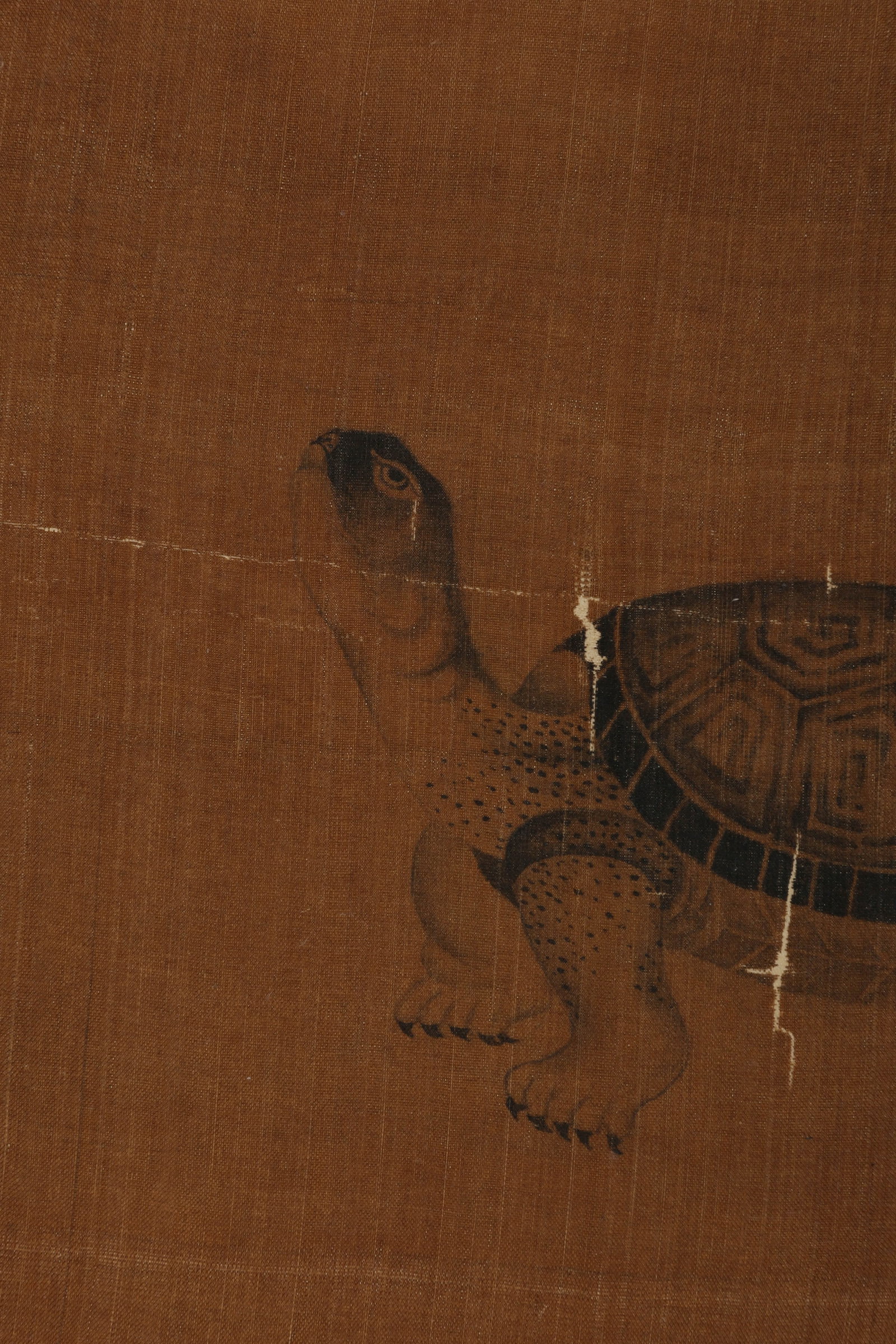 ANONYMOUS, TURTLE - 4