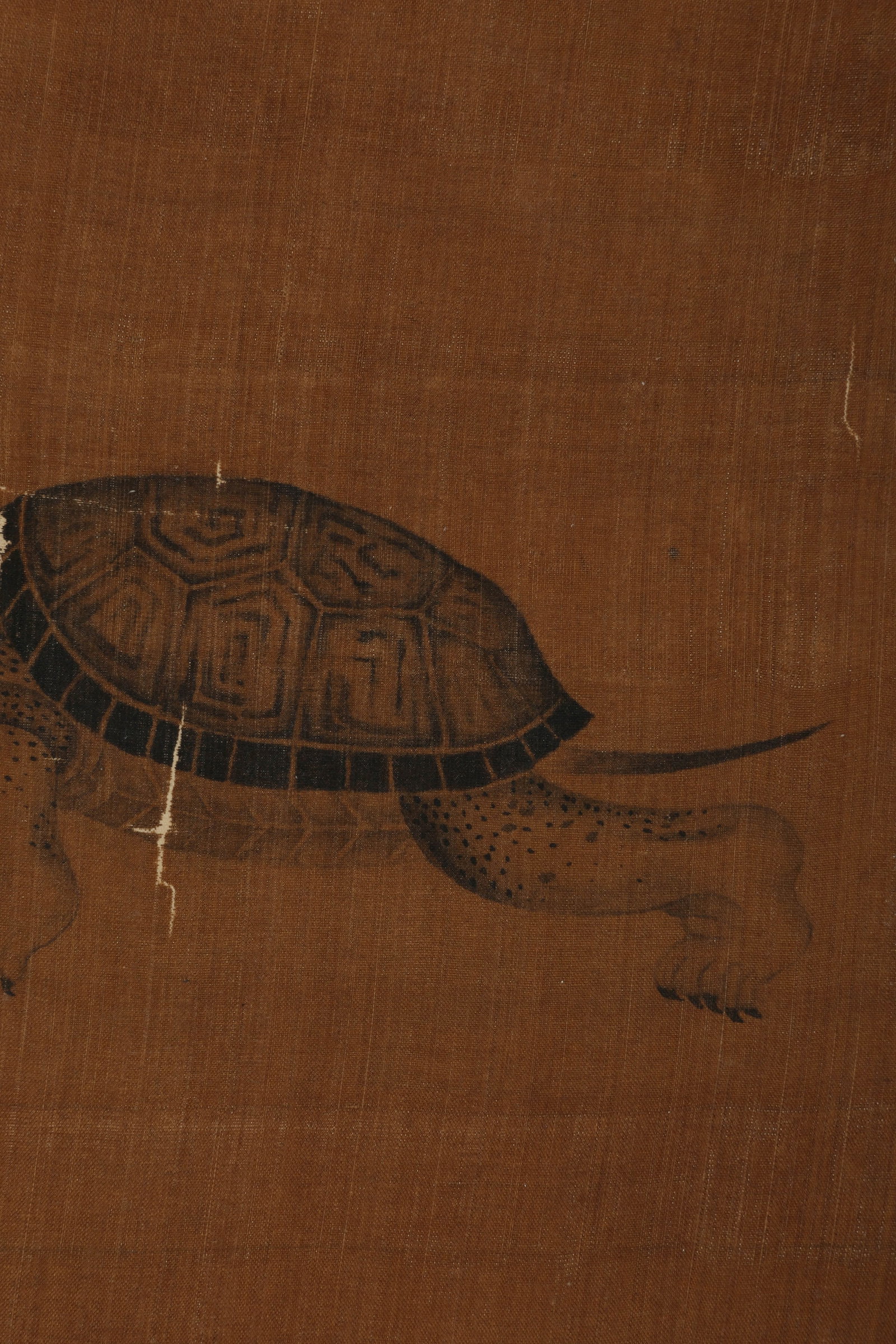 ANONYMOUS, TURTLE - 5