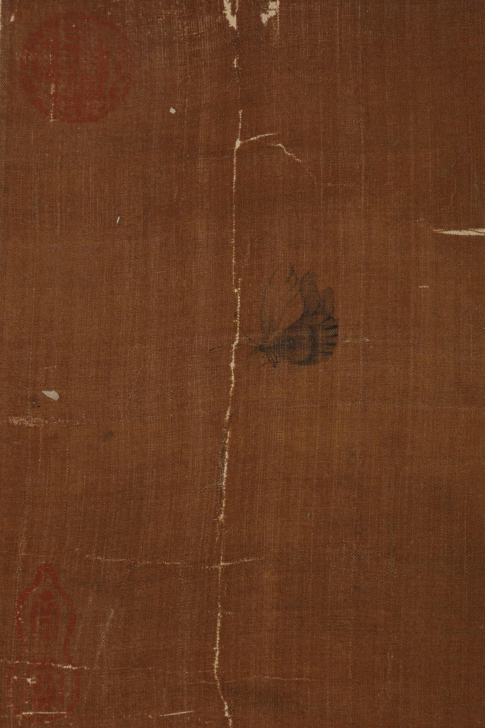 ANONYMOUS, TURTLE - 6