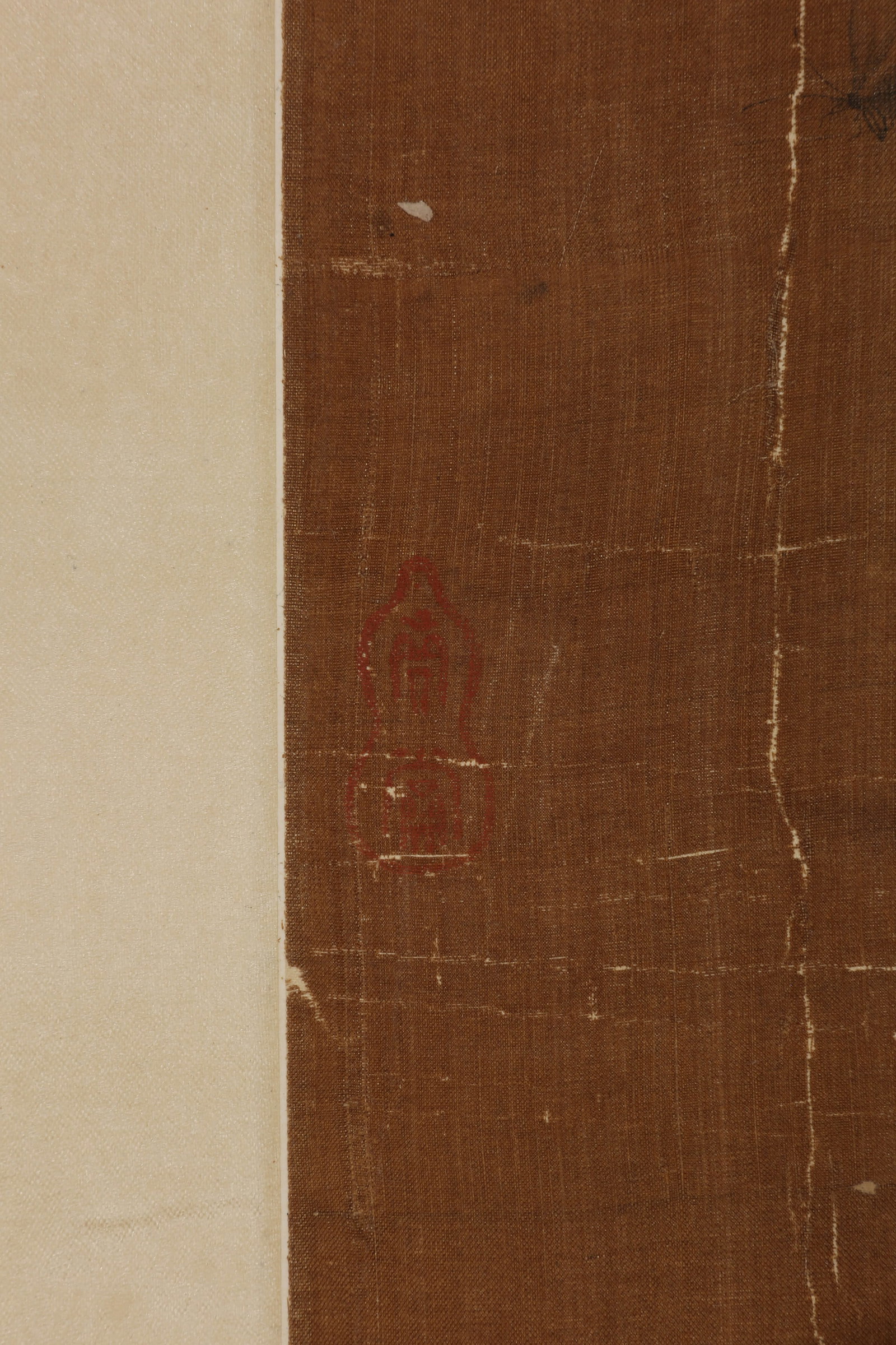 ANONYMOUS, TURTLE - 7