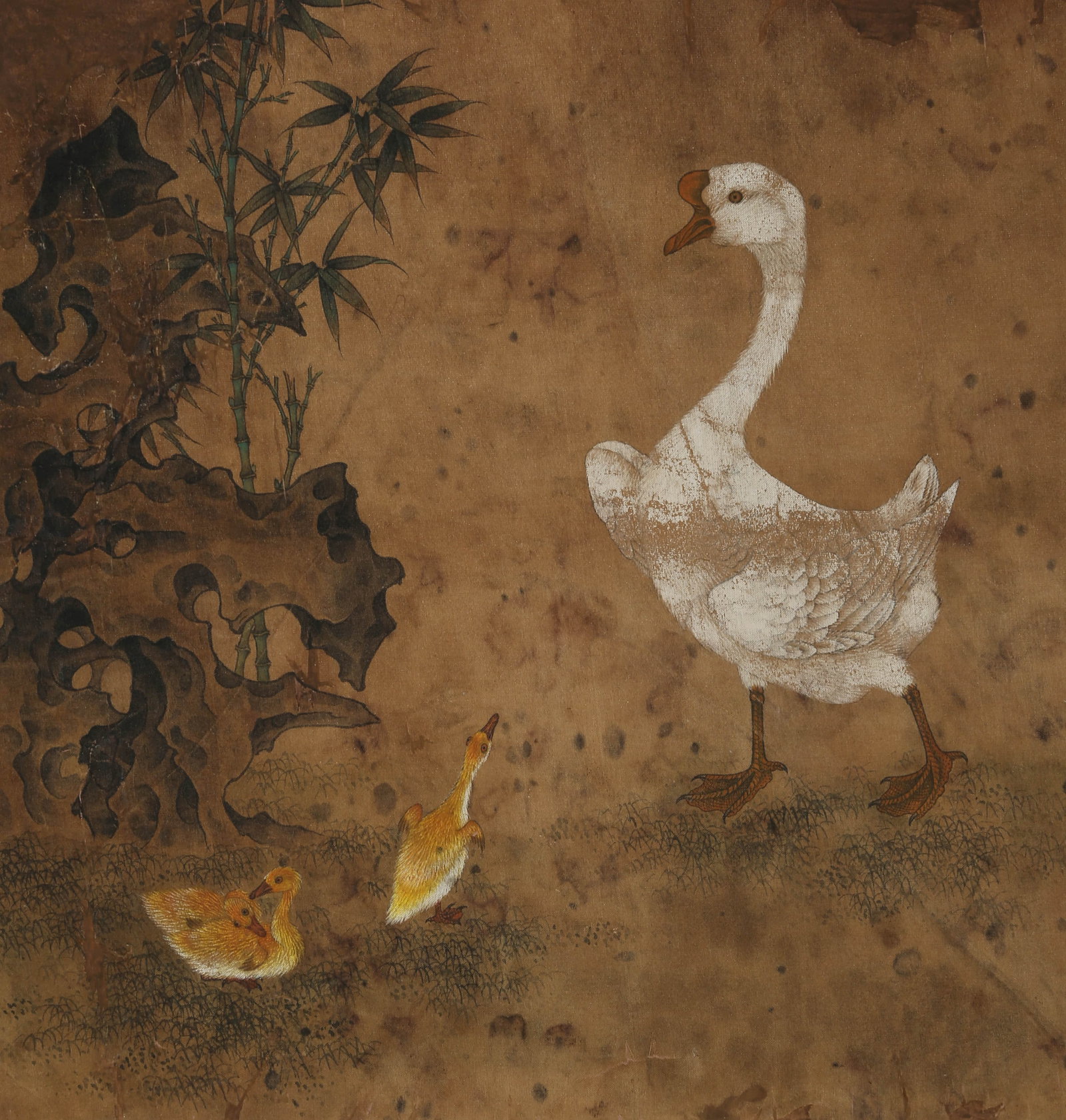 ANONYMOUS, GOOSE (1 of 7)