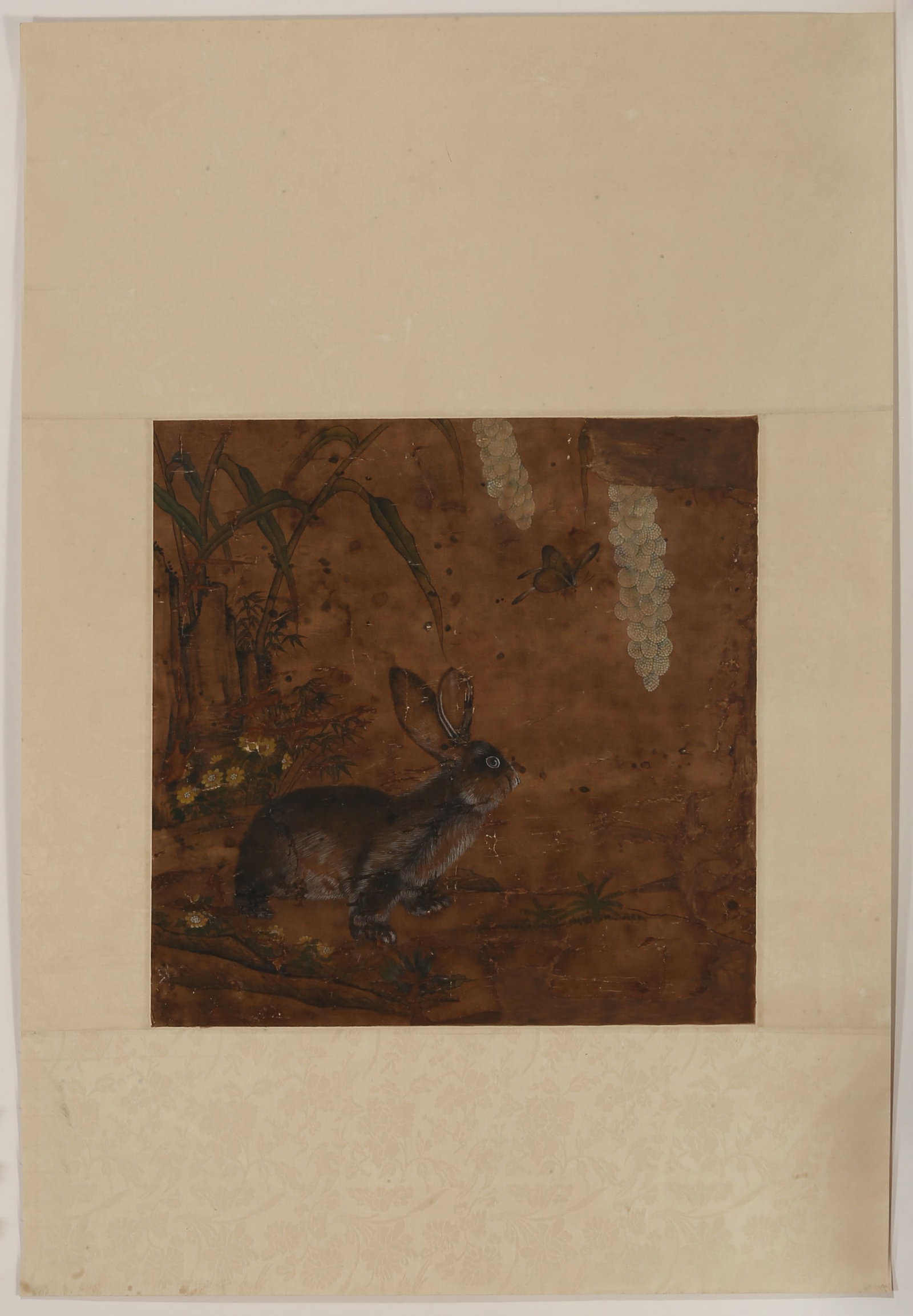 ANONYMOUS, RABBIT - 7