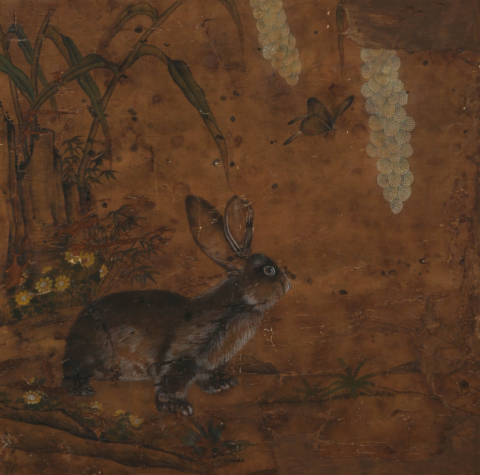 ANONYMOUS, RABBIT (1 of 7)