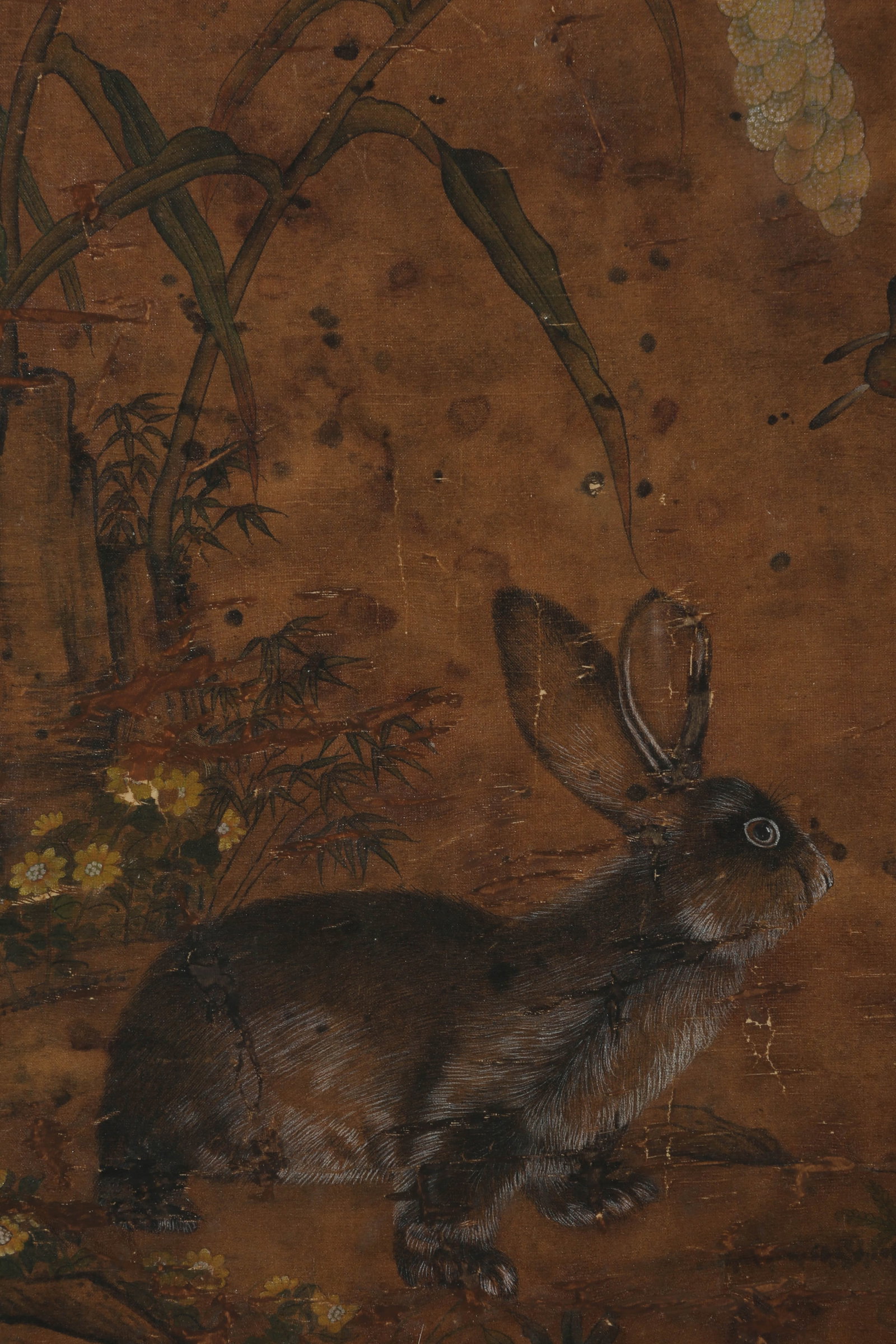 ANONYMOUS, RABBIT - 3