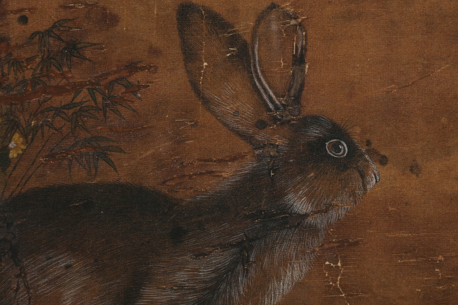 ANONYMOUS, RABBIT - 4