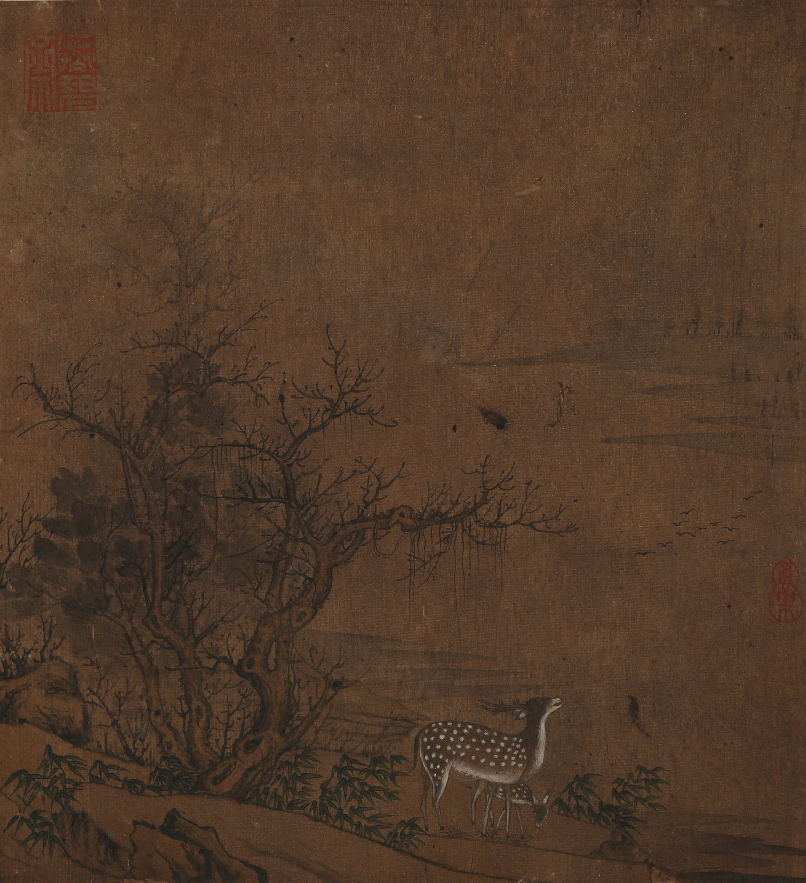 ANONYMOUS, DEER (1 of 8)