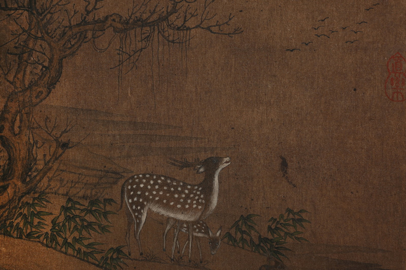 ANONYMOUS, DEER - 2