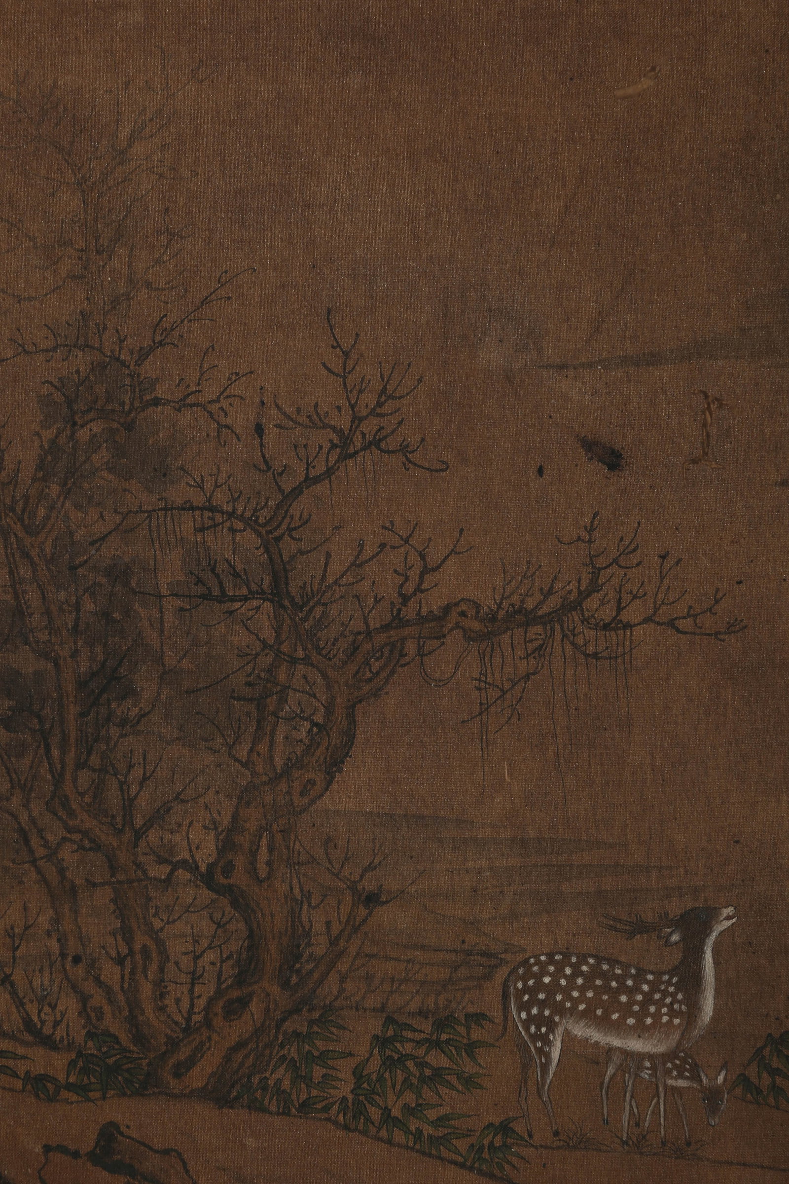 ANONYMOUS, DEER - 3