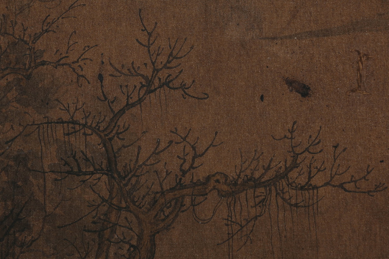 ANONYMOUS, DEER - 4