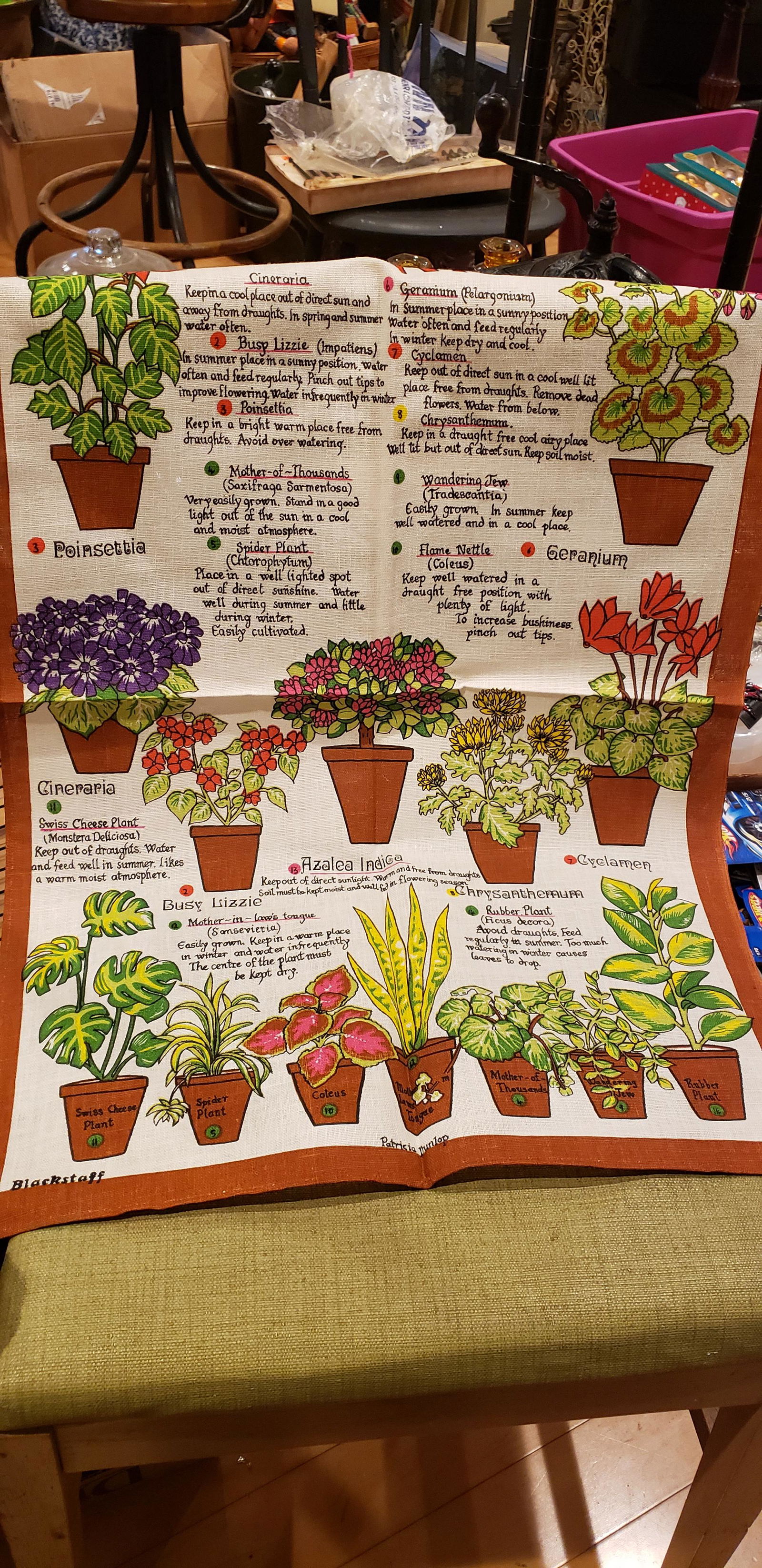Irish Linen 50% Cotton Tea Towel House Plants Flowers (1 of 2)