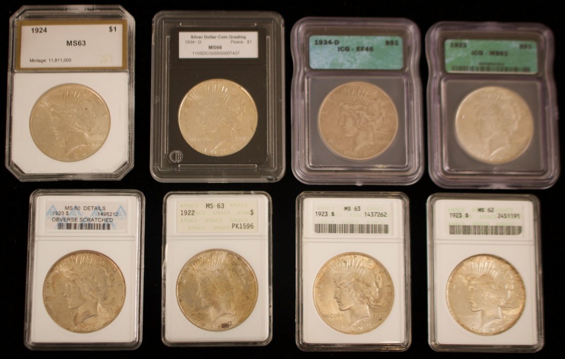 Eight (8) United States Peace Dollars (1 of 2)