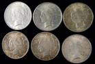 Six (6) United States Silver Peace Dollars