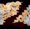 One-hundred-twenty-one (121) Indian Head Pennies