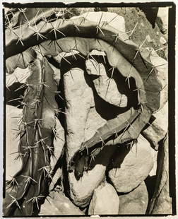 Edward Henry Weston (American, 1886 – 1958) Two (2): Two Edward Weston with labels printed under the direction of Brett Weston. Edward Weston was an American photographer who is widely considered one of the most influential American photographers of the