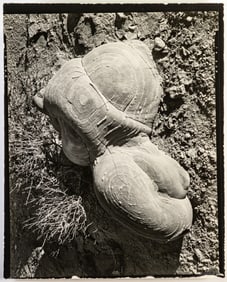 Edward Henry Weston (American, 1886 – 1958) Two (2) PHOTOGRAPHS