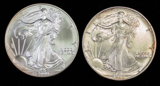 Two (2) US Silver Eagle One Ounce Coins