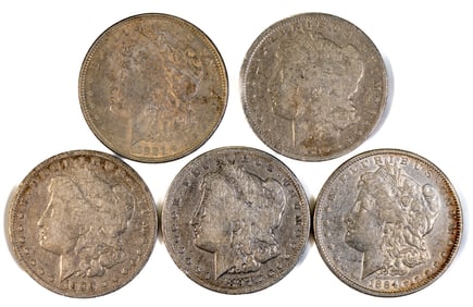 Five (5) Morgan Silver Dollars