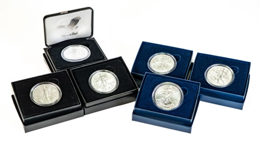 Six (6) US Mint Silver Eagle Uncirculated One Ounce Coin