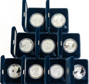 Nine (9) US American Eagles One Ounce Silver Bullion Coins
