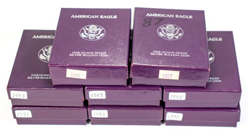 Eight (8) US American Eagle One Ounce Proof Coin