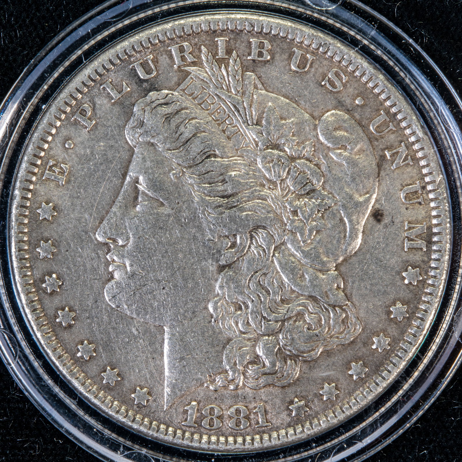 Five (5) Morgan Silver Dollars - 3