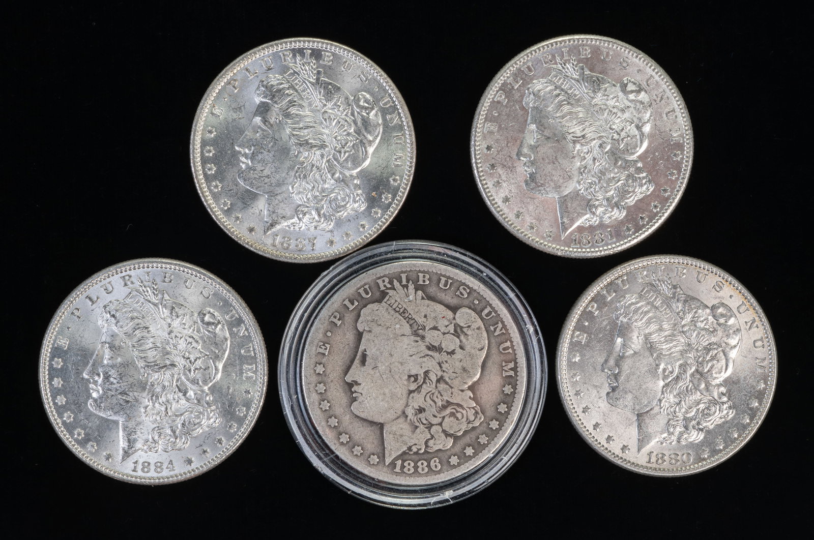 Five (5) Morgan Silver Dollars - 3