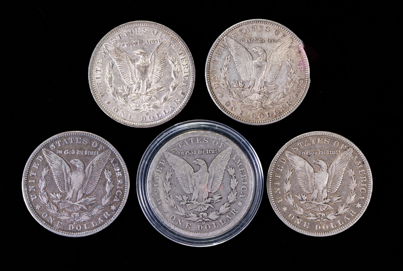 Five (5) Morgan Silver Dollars - 2