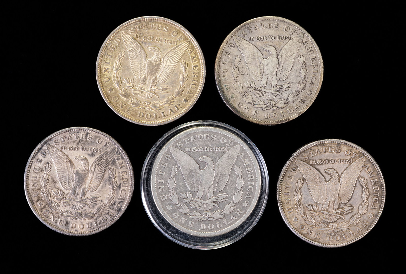 Five (5) Morgan Silver Dollars - 2