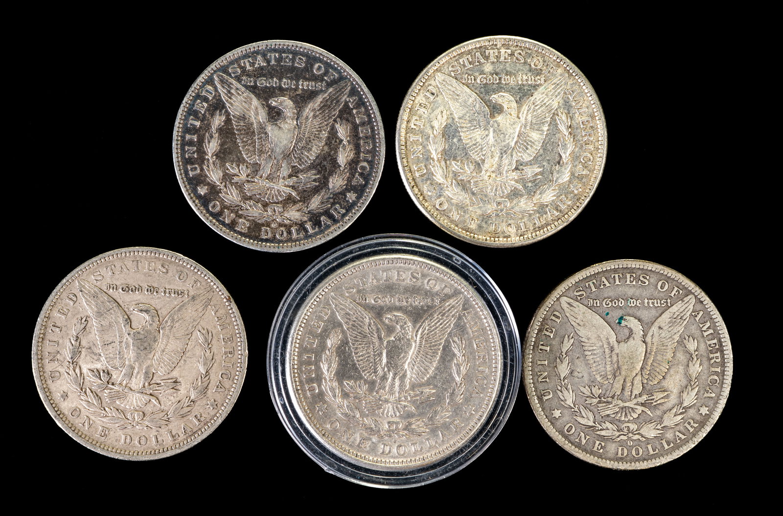 Five (5) Morgan Silver Dollars - 2
