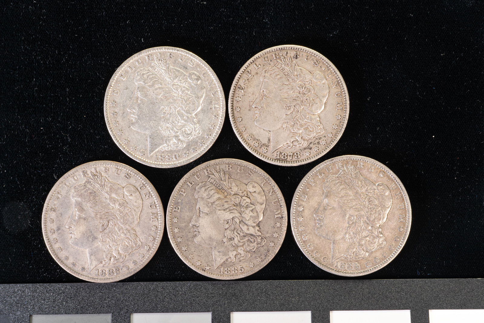 Five (5) Morgan Silver Dollars - 2