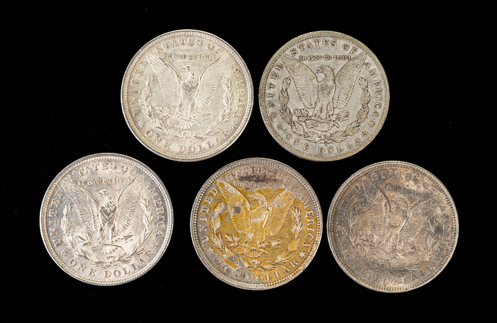 Five (5) Morgan Silver Dollars - 2