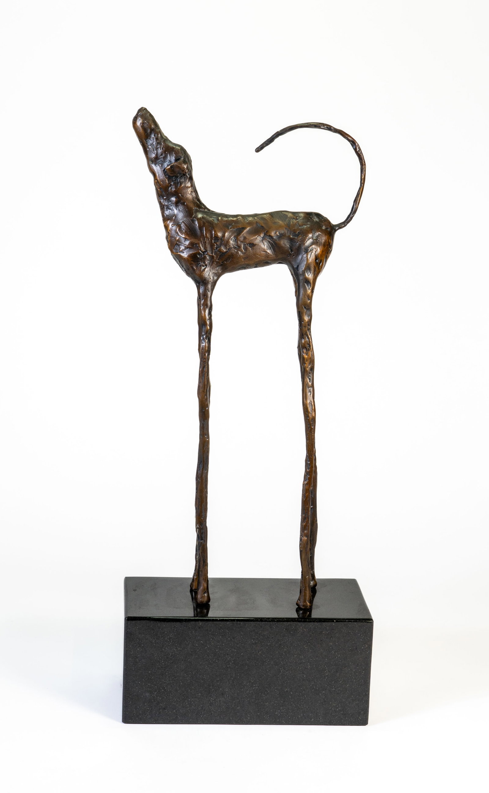 Jim Budish (American, b. 1953) Bronze Dog "Zoe": Jim Budish (American, b. 1953) Zoe Patinated bronze. Inscribed "JB" on the bottom of torso. From an edition of 99. Mounted on a rectangular stone base. Dimensions (no base): 18 x 8.5 x 2.5 in.